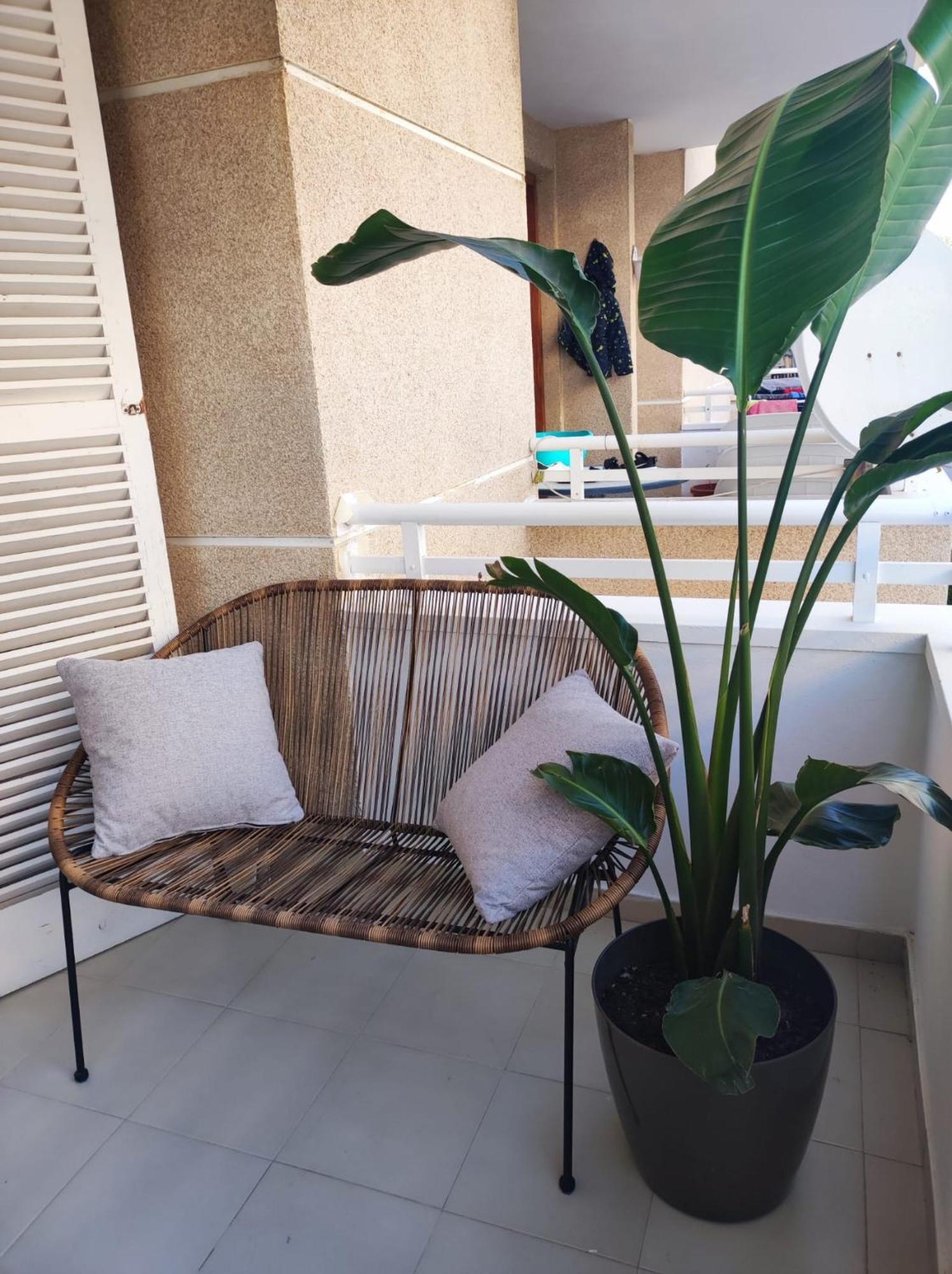 Alcudia Charming Seaview *